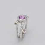 Bague australe