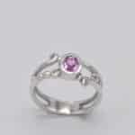 Bague australe