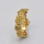 Alliance corail fossile