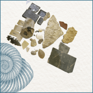 Joaillerie-Taillandier-fossile-divers