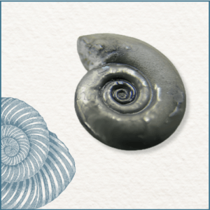 Joaillerie-Taillandier-fossile-ammonite