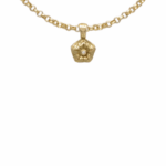 Pendentif Asama Fossiles