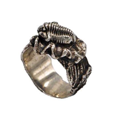 Bague Tribolite