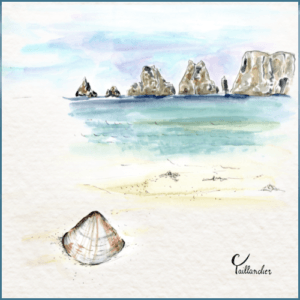 Joaillerie-Taillandier-dessin Celia Taillandier-plage bretonne