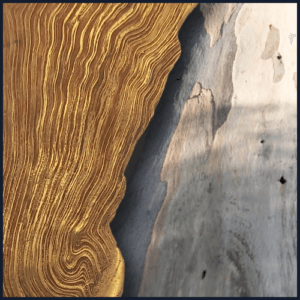 Joaillerie-Taillandier-écorces-eucalyptus