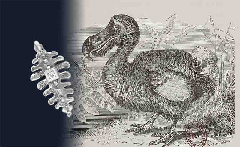 une gravure de dodo et un pendentif en or et diamant. Le dodo et le joaillier 