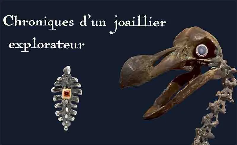 Le joaillier et le dodo