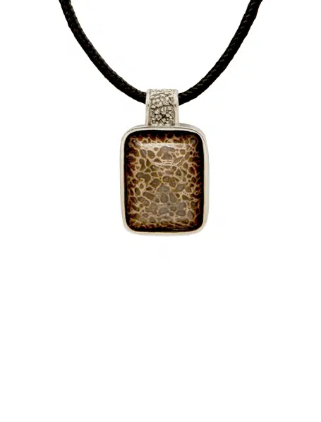 Pendentif argent os de dinosaure