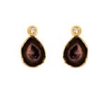 Geodes agathe