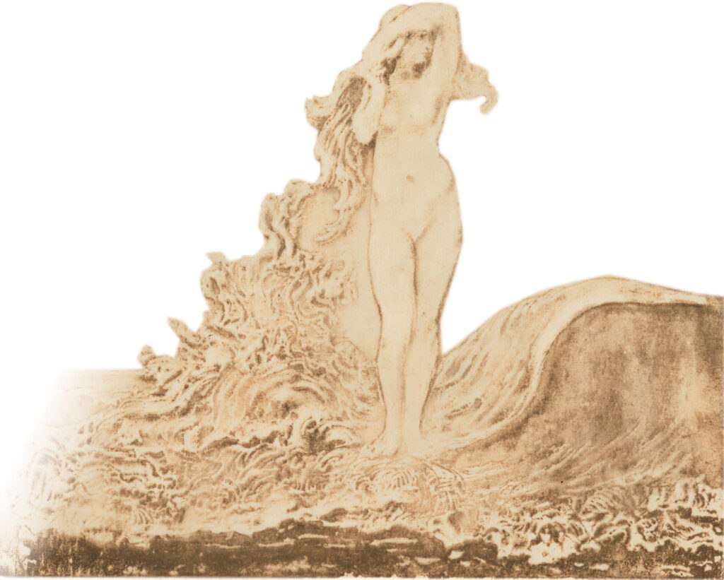 venus sortant de l'eau