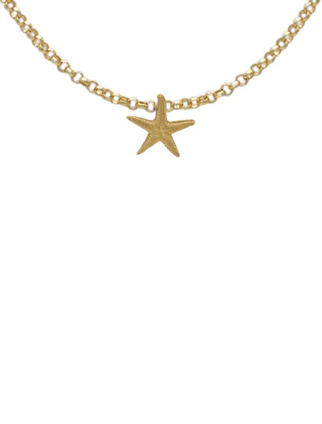 Pendentif petite étoile de mer